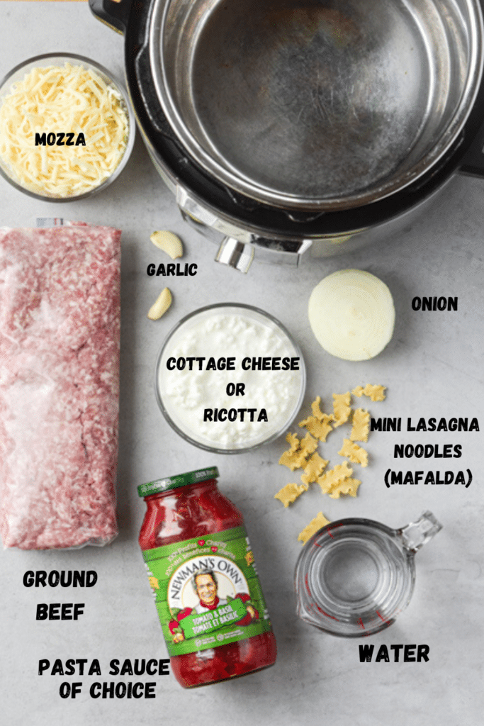 lazy lasagna ingredients flatlay