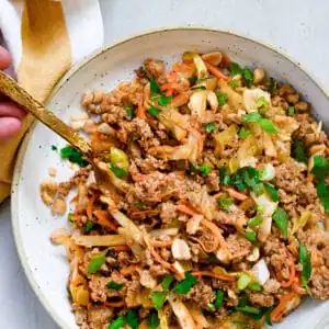 close up peanut pork stir fry flay lay in bowl