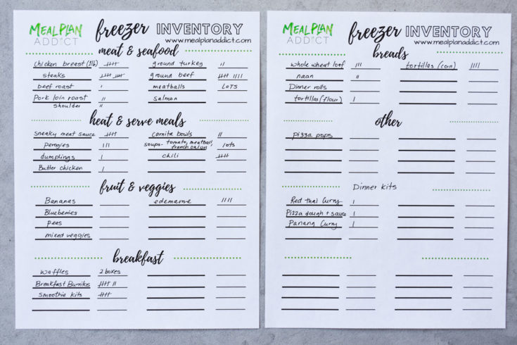 sample freezer inventory template